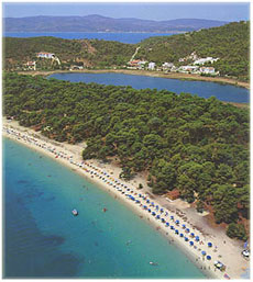 ������������